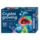 Educational Set Growing Crystal Stem XL, +8 years, Kosmos
