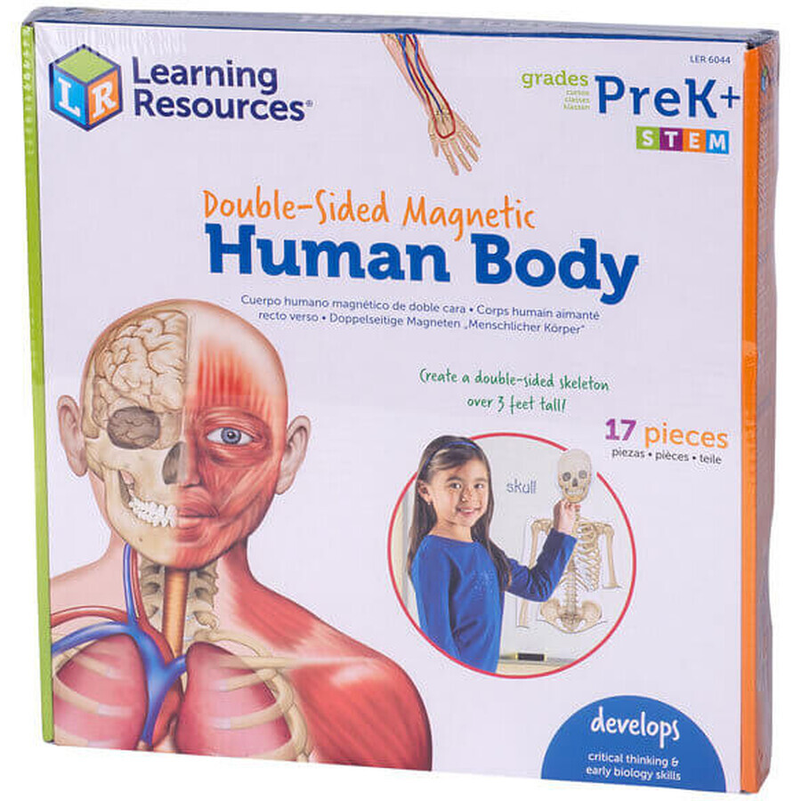 Magnetic human body set, Learning Resources