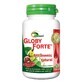 Globy Forte, 50 comprim&#233;s, Ayurmed