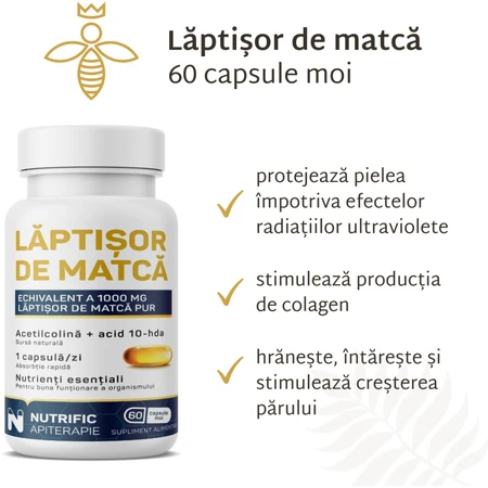 Matcha-Butter, 60 Weichkapseln, Nutrific
