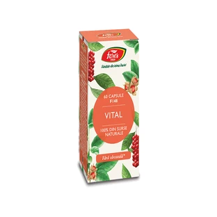 Vital, 60 Kapseln, Fares