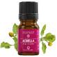 Activ cosmetic Acmella extract (M - 1267), 5 ml, Mayam