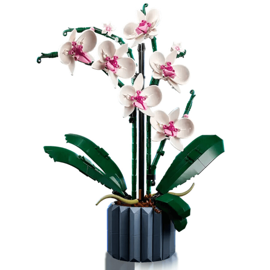 Orchid Lego Icons, 608 pieces, Lego