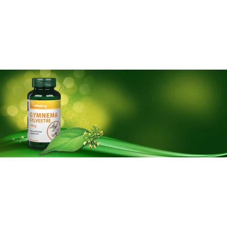 Gymnema Sylvestre 400 mg, 90 gélules, VitaKing