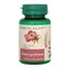 Harpagophytum, 60 tabletten, Dacia Plant