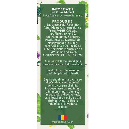 Hepatofit Forte D100, 63 capsules, Fares