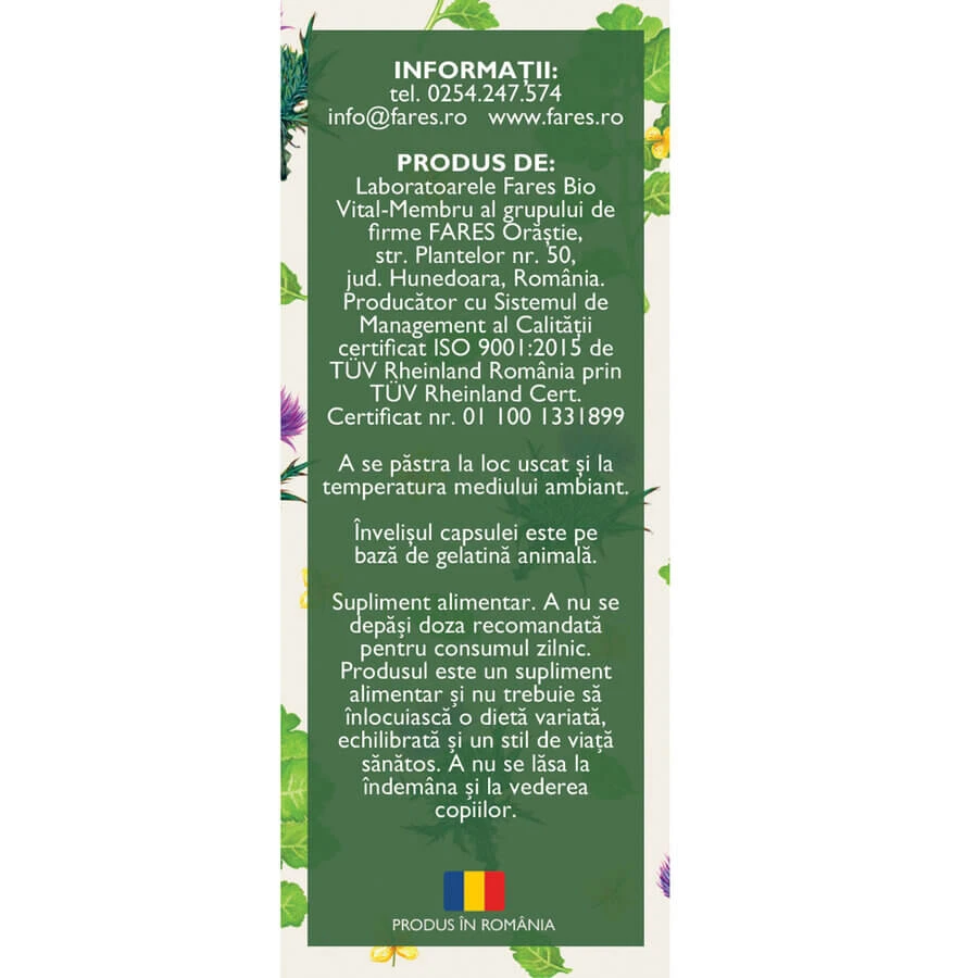 Hepatofit Forte D100, 63 capsules, Fares