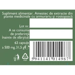 Hepatofit Forte D100, 63 capsules, Fares