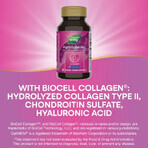 Hydraplenish Plus MSM Nature's Way, 60 capsules, Secom Hydraplenish Plus MSM Nature's Way, 60 capsules, Secom
