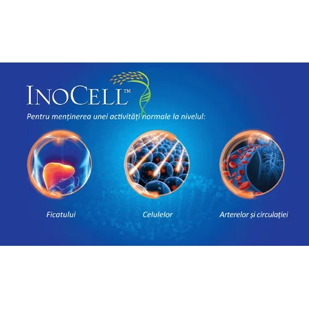 InoCell 500 mg, 60 Kapseln, Good Days Therapy