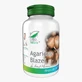 Agaricus Blazei, 60 cápsulas, Pro Natura
