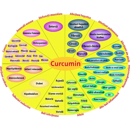 Curcumina lipozomal 95%, 60 cápsulas vegetales, Hypernatura