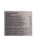 Liv 52 syrup, 100 ml, Himalaya