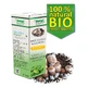 Estratto dell'albero del tè Magic Agaricus Blazei Murill, olio, 10 ml, HempMed Pharma