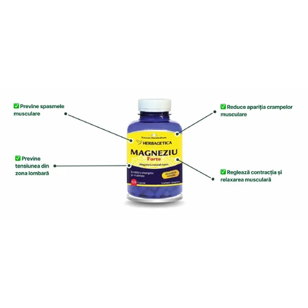Magnesium Organic mit Vitamin B-Komplex, 120 Kapseln, Herbagetica