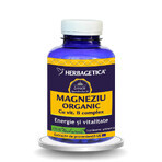 Organic Magnesium with Vitamin B complex, 120 Capsules, Herbagetica Organic Magnesium with Vitamin B complex, 120 Capsules, Herbagetica