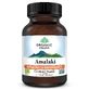 Amalaki Vitamine C et antioxydants naturels, 60 gélules, Inde biologique