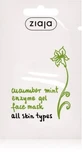 Cucumber Mint Papaya and Cucumber Enzyme Gel Mask, 7 ml, Ziaja