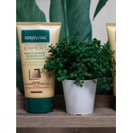 Intensive regenerating mask with petroleum Gerovital Expert Treatment, 150 ml, Farmec Intensive regenerating mask with petroleum Gerovital Expert Treatment, 150 ml, Farmec