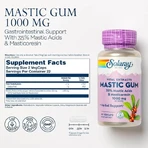 Mastixkautschuk 500 mg Solaray, 45 Kapseln, Secom