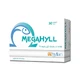 Megahyll, 30 capsules, Hyllan