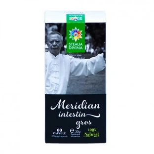 Méridien ontestin gros, 60 gélules, Divine Star