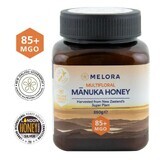MELORA polyflore Manuka honing, MGO 85+ Nieuw-Zeeland, 250 g, Republic Organic