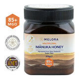 Manuka honey MGO 85+, 375 g, Melora