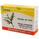 Tuia buds, Gemoderivat, 30 single doses, Hofigal