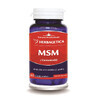 MSM + Cucumin95, 60 capsule, Herbagetica