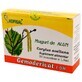 Hazel Bud Gemoderivat, 30 single doses, Hofigal