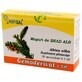 White fir buds Gemoderivat, 30 doses, Hofigal