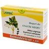 Zwarte Bes Knoppen Gemoderivat, 30 eenmalige doses, Hofigal