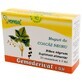 Black Currant Buds Gemoderivat, 30 single doses, Hofigal 