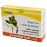 Black Currant Buds Gemoderivat, 30 single doses, Hofigal 