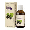 Blackcurrant buds, 50 ml, Dacia Plant