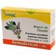 Ash buds Gemoderivat, 30 single doses, Hofigal