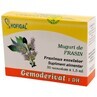 Ash buds Gemoderivat, 30 single doses, Hofigal