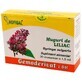 Lilac buds, 30 single doses, Hofigal