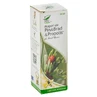 Muguri de pin, brad și propolis Sirop, 100 ml, Pro Natura