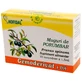 Buds of Pomegranate, Gemoderivat, 30 single doses, Hofigal