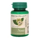 Noni, 60 Tabletten, Dacia Plant