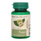 Noni, 60 Tabletten, Dacia Plant