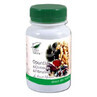 Opuntia &amp; Chitosan &amp; Fibrulina, 60 capsule, Pro Natura