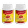 Pack Elixir de Jeunesse au Ganoderma, 60 + 60 g&#233;lules, Bio-Synergie