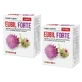Eubil Forte pack, 30 gélules + 30 gélules, Parapharm