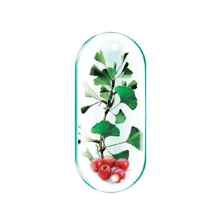 Lecithin 1200 mg pack, 90 capsules + 30 capsules, Rotta Natura