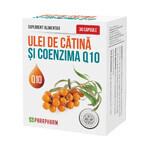 Olio di olivello spinoso e coenzima Q10 Pack, 30 capsule, 2+1, Parapharm Olio di olivello spinoso e coenzima Q10 Pack, 30 capsule, 2+1, Parapharm