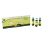 Panax Ginseng extractum, 10 Fläschchen, Yongkang International China