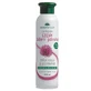 Shampoo Stop! Haarausfall mit Rotklee und Panthenol, 250 ml, Cosmetic Plant